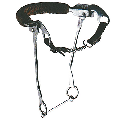 hackamore with leather noseband