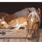 Stable Frienship