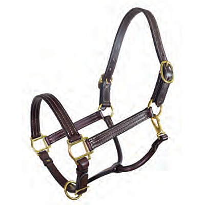 Tory Leather 1” Traditional Deluxe Horse Halter - Havana