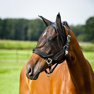 Horze Mesh Fly Mask with Spandex