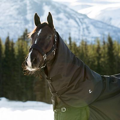 Horze Nevada Turnout Neck Cover - 200g - Black