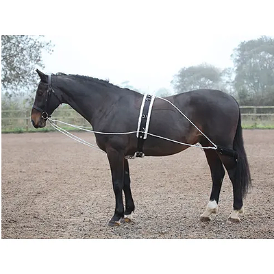 Shires Equestrian Lunging Aid - Black