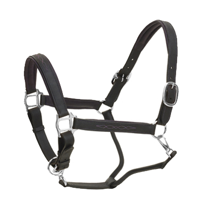 Ovation® Richtan Luxury Padded Halter -Black/Purple
