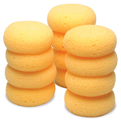 sponge