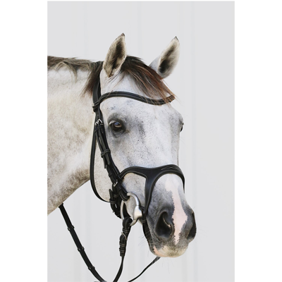 House of Montar Monarch Bridle