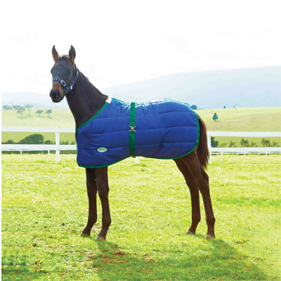 Weatherbeeta 420D Foal Standard Neck Medium