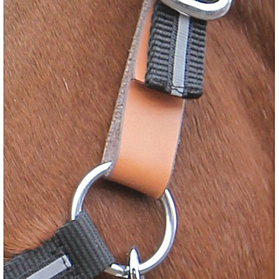 Roma Breakaway Replacement Tab
