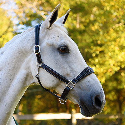 KL Select Rachel Halter - Black