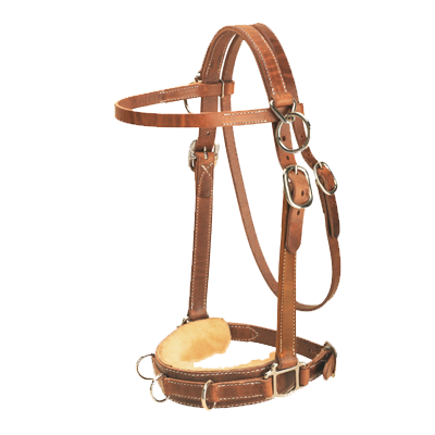 Tory Leather Heavy Lunge Caveson