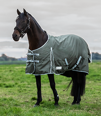 Waldhausen Economic Lightweight Turnout Blanket