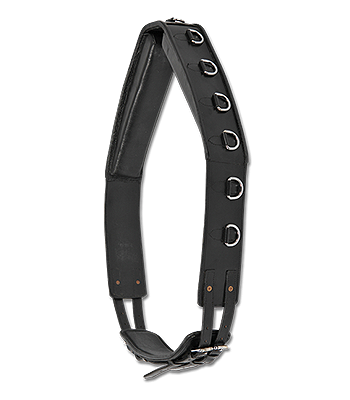 Waldhausen Leather Lunging Surcingle - Black