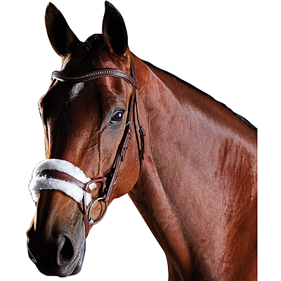 Collegiate Comfitec Training Bridle
