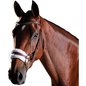 Collegiate Comfitec Training Bridle