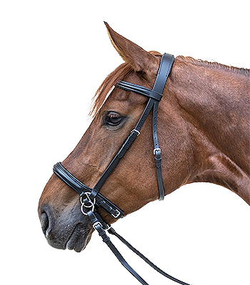 Waldhausen Star Bitless Bridle
