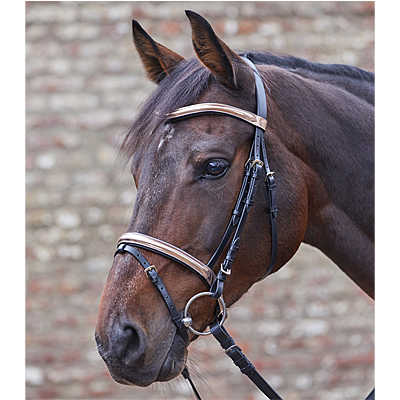 Waldhausen STAR Rose-Gold Bridle