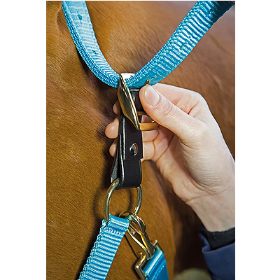 Aviemore Headcollar Breakaway Attachment [Tab]