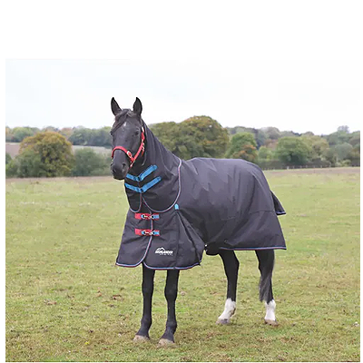 Shires Highlander Plus 200Standard Neck - Black