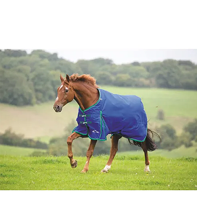 Shires Highlander Plus 200 Standard Neck