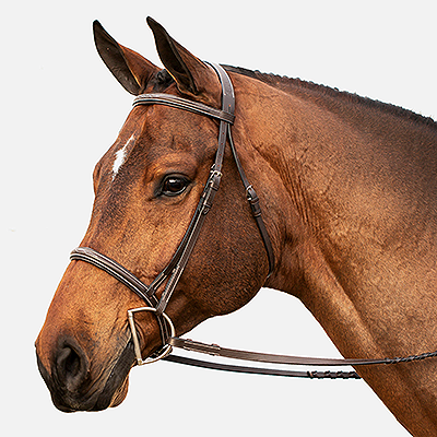 Equinavia Saga Fancy Stitched Hunter Bridle &amp; Reins - Chocolate Brown