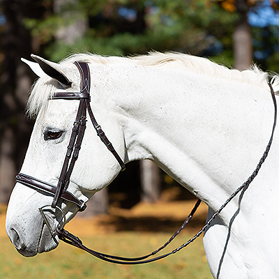 Equinavia Valkyrie Wide Noseband Hunter Bridle with Reins - Chocolate Brown