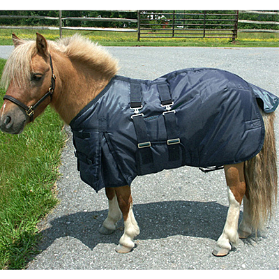 Navy Intrepid International Miniature Horse Turn Out Blanket