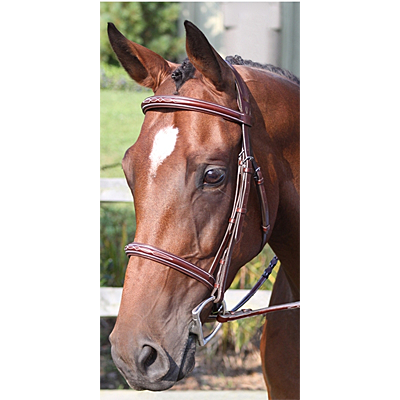 Ravenna Bridle