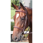 Ravenna Bridle