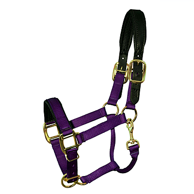 Intrepid International Chafeless Breakaway Halter with Padded Crown and Nose - Purple
