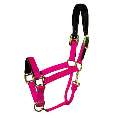 Intrepid International Chafeless Breakaway Halter with Padded Crown and Nose - Sweet Watermelon