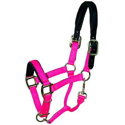 Intrepid International Chafeless Breakaway Halter with Padded Crown and Nose
